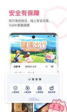 小猪