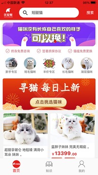 优宠熊