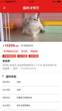 优宠熊