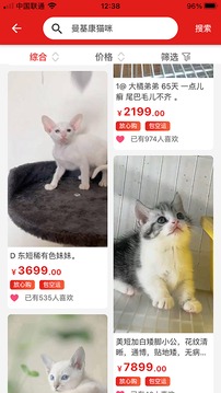 优宠熊