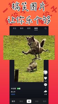道友