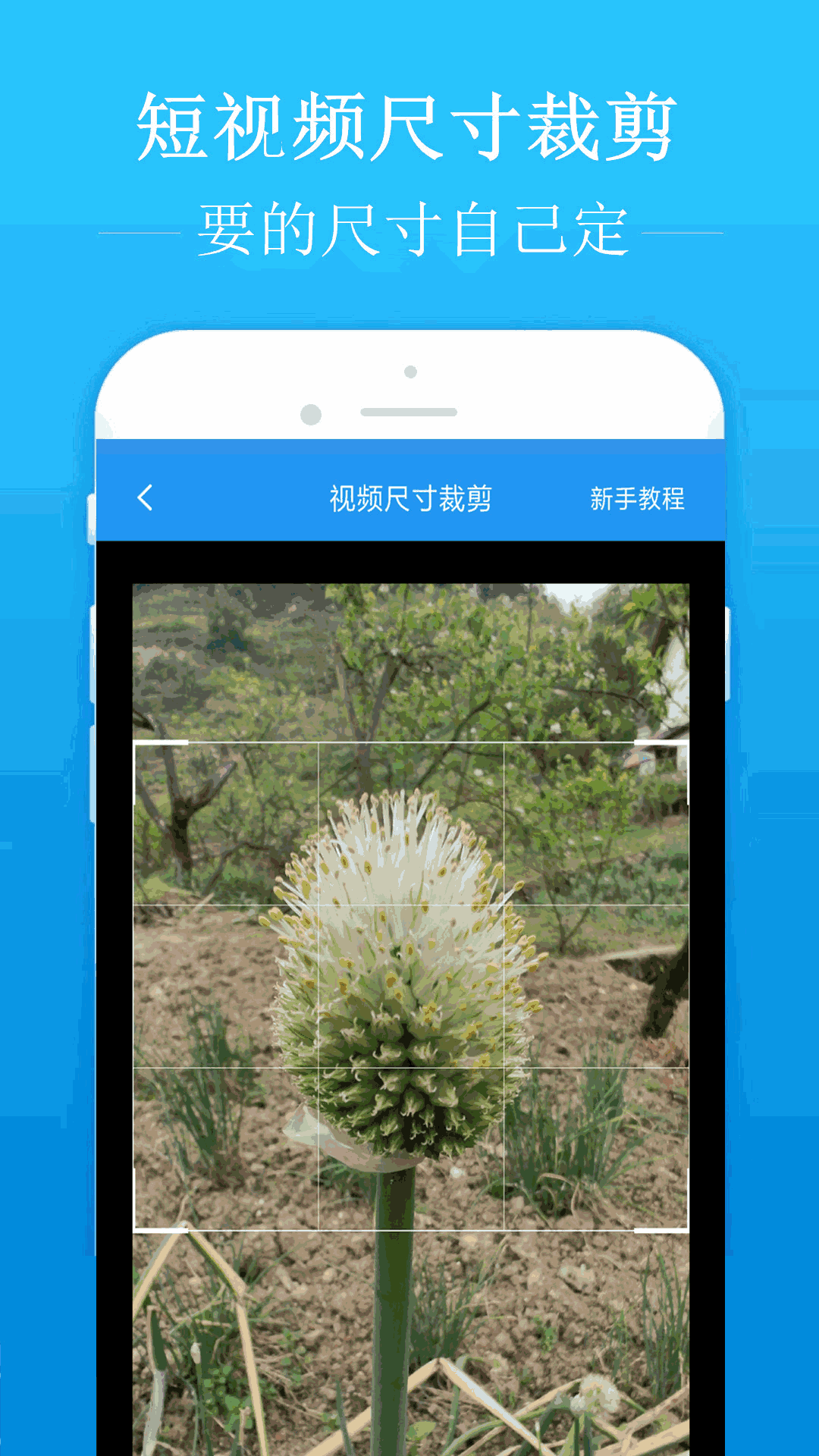 去水印吧